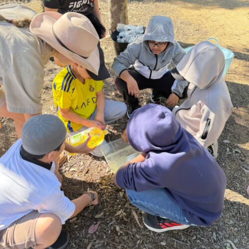 Galeri Al – Fikr Tuition (32)