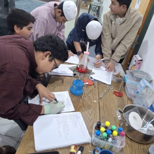 Galeri Al – Fikr Tuition (45)